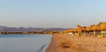 Best Things to Do in Soma Bay