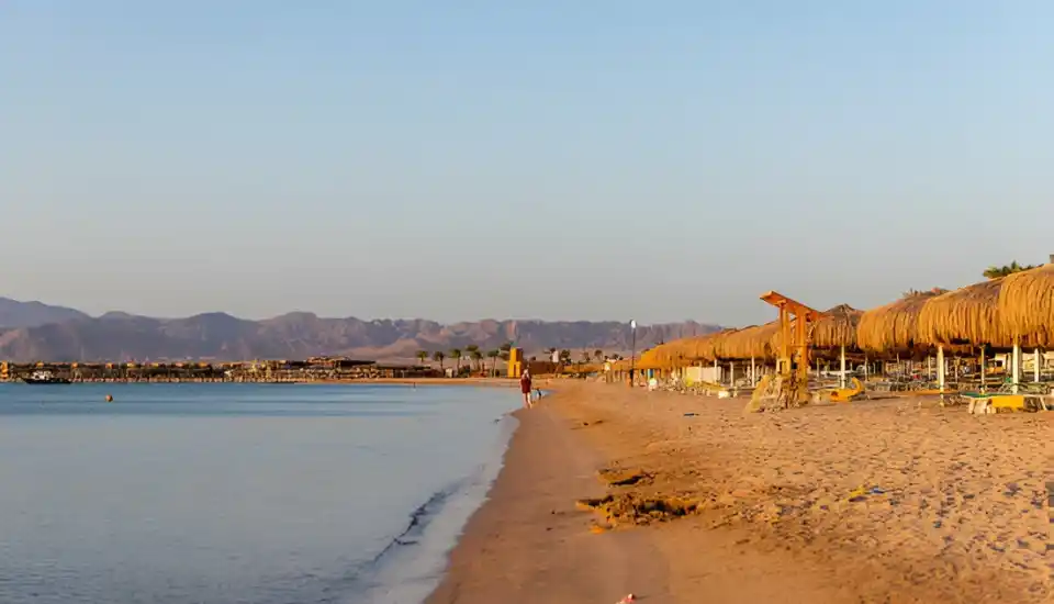 Best Things to Do in Soma Bay