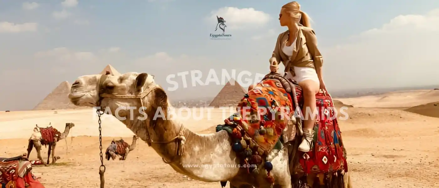 Strange Facts About the Pyramids 3 Strange-Facts-About-the-Pyramids-EgyptaTours (2)