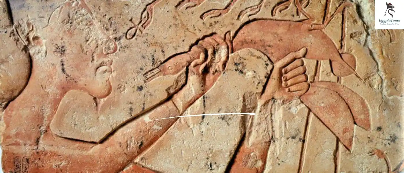 Content-of-the-Hymn-to-the-Aten-EgyptaTours