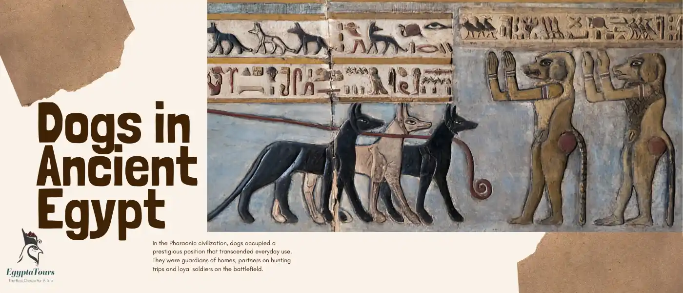 Dogs in Ancient Egypt 7 Dogs-in-Ancient-Egypt-Magical-Facts-EgyptaTours