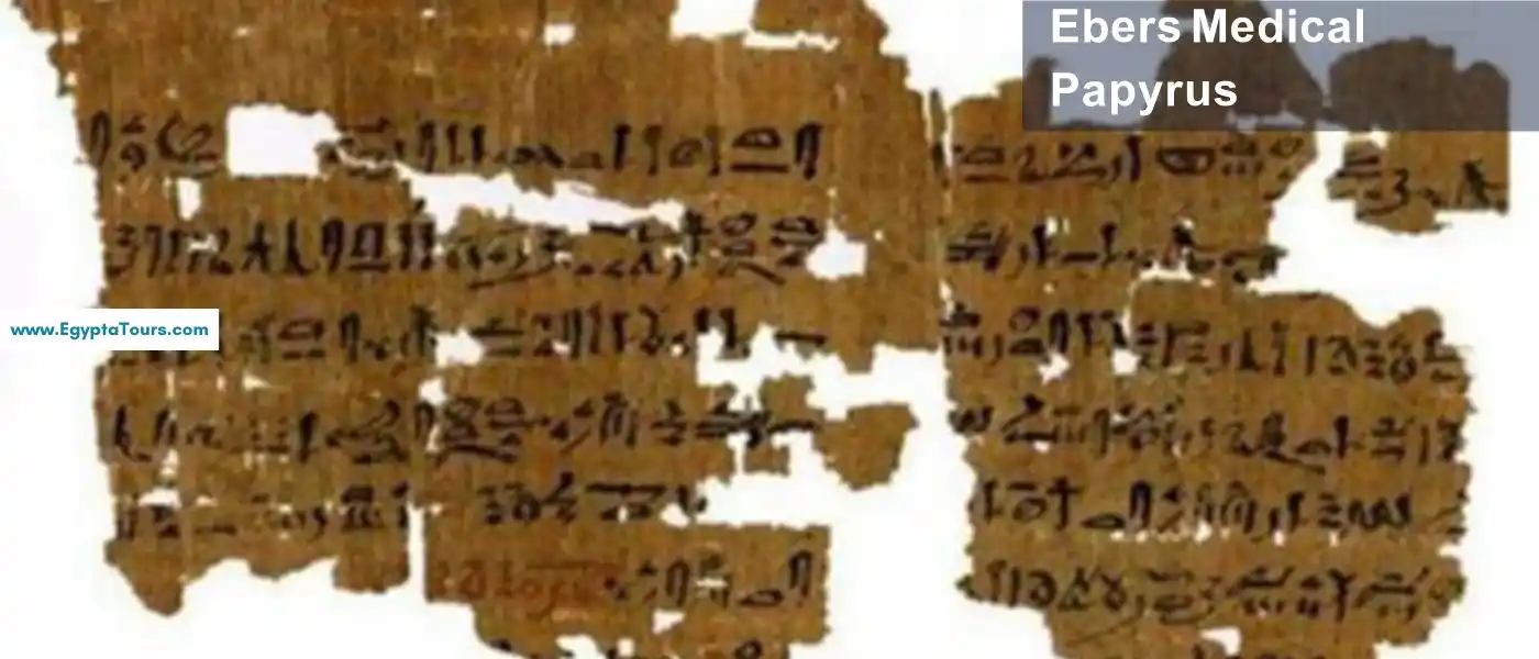 Ebers-Medical-Papyrus-in-ancient-Egypt-EgyptaTours