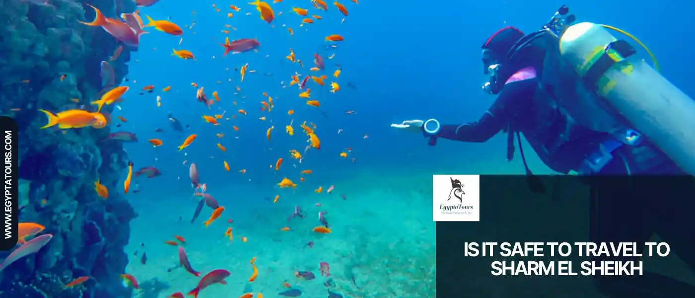 Is it Safe to Travel to Sharm El Sheikh? 8 Is-it-safe-to-practice-diving-in-Sharm-El-Sheikh-EgyptaTours