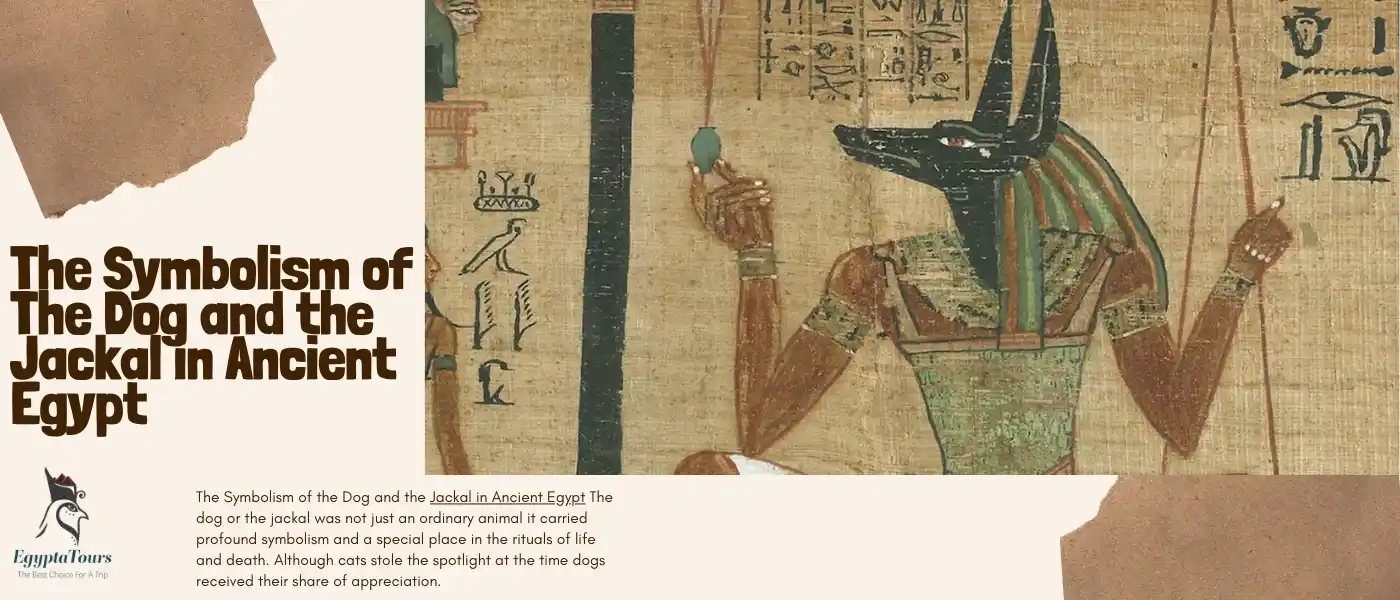 The Symbolism of the Dog and the Jackal in Ancient Egypt 4 The-God-Anubis-in-Ancient-Egypt-EgyptaTours