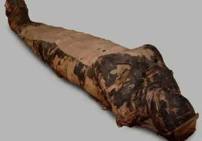 The-Mummy-of-the-Mysterious-Lady-EgyptaTours-Featured