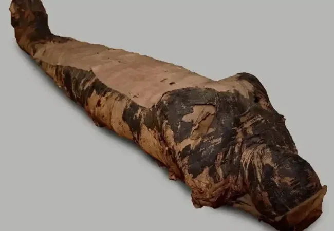 The-Mummy-of-the-Mysterious-Lady-EgyptaTours-Featured