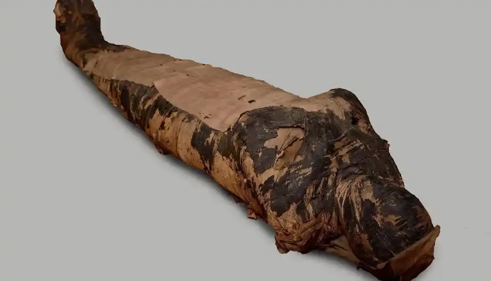 The Mummy of the Mysterious Lady