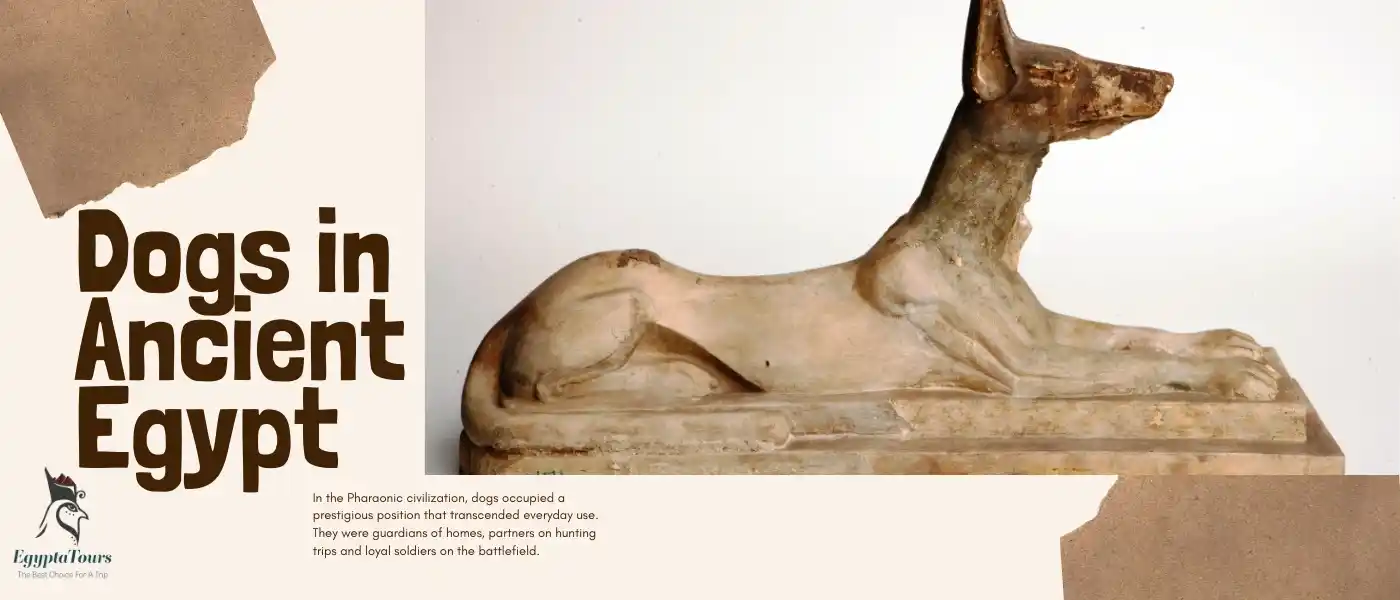 Dogs in Ancient Egypt 8 The-Statues-of-Dogs-in-Ancient-Egypt-EgyptaTours