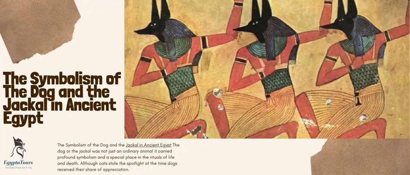 The Symbolism of the Dog and the Jackal in Ancient Egypt 3 The-Symbolism-of-the-Dog-and-the-Jackal-in-Ancient-Egypt-and-the-God-Anubis-EgyptaTours