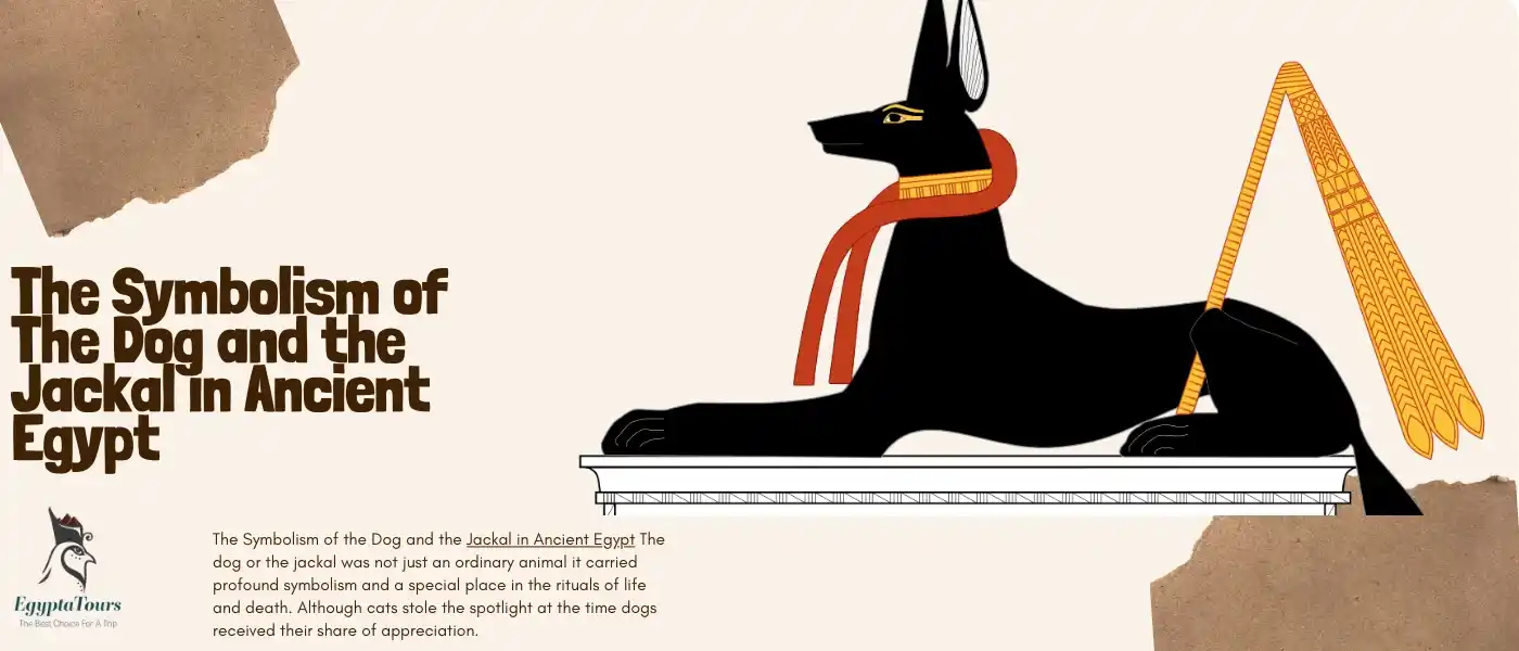 The Symbolism of the Dog and the Jackal in Ancient Egypt 2 The-Symbolism-of-the-Dog-and-the-Jackal-in-Ancient-Egypt
