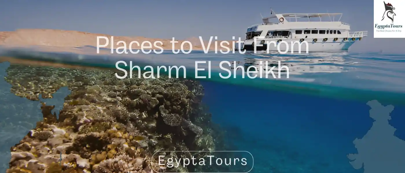 Tiran-Island-Best-Places-to-Visit-From-Sharm-El-Sheikh-EgyptaTours