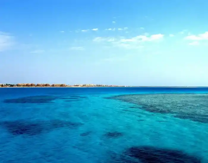 Underwater-View-Of-Coral-Reefs-And-Scuba-Diver-In-Safaga-Red-Sea-EgyptaTours