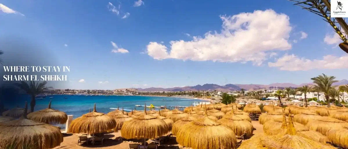 Where to Stay in Sharm El Sheikh 3 Nature-Reserves-and-Where-to-Stay-in-Sharm-El-Sheikh-EgyptaTours