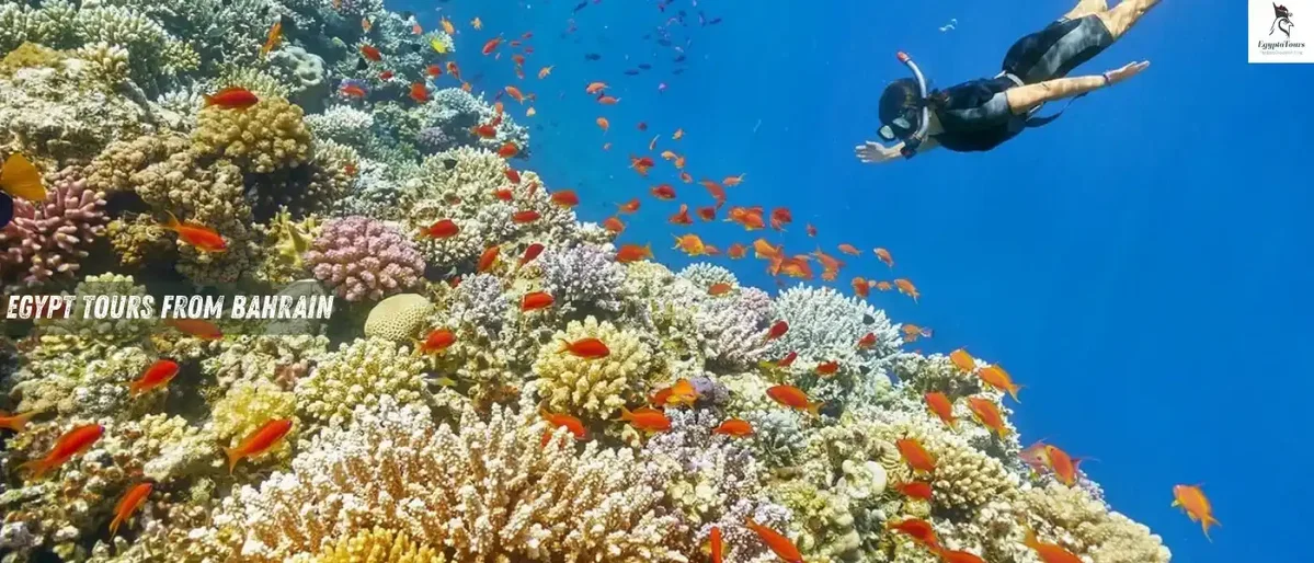 Red-Sea-holidays-in-Hurghada-Egypt-Tours-From-Bahrain-EgyptaTours