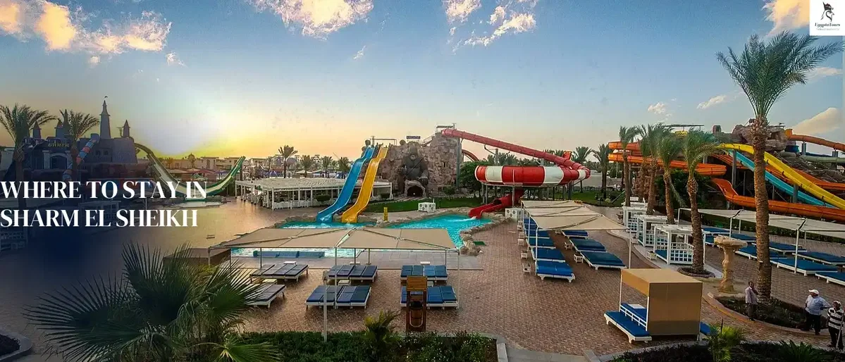 Where to Stay in Sharm El Sheikh 1 Steigenberger-Alcazar-Resort-Where-To-Stay-In-Sharm-El - Sheikh-EgyptaTours