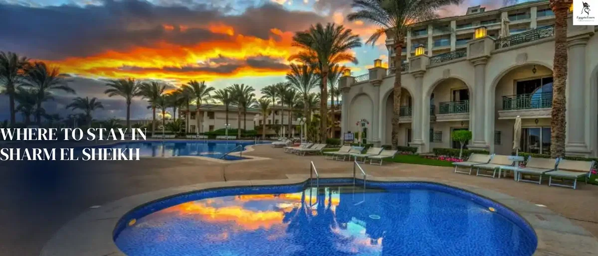 Where to Stay in Sharm El Sheikh 2 Stella-Di-Mare-Hotel-Sharm-El-Sheikh-EgyptaTours