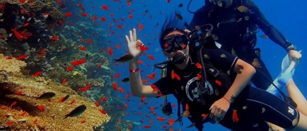 El Gouna Day Tours and Trips