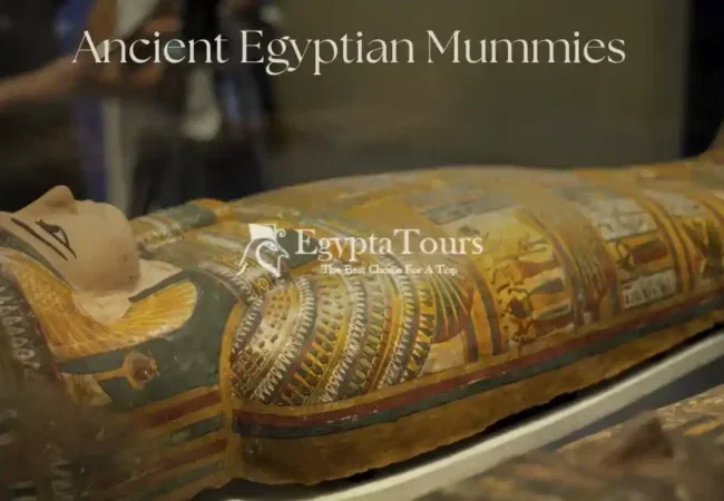 Ancient-Egyptian-Mummies-EgyptaTours-Featured-Image