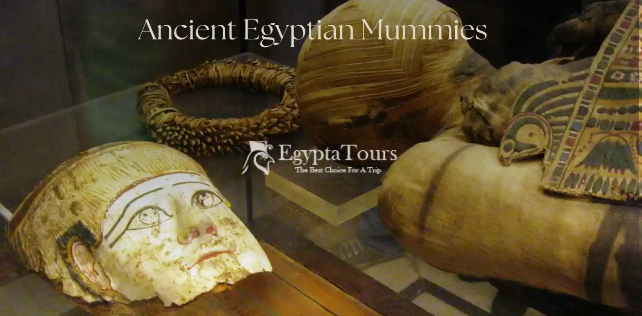 Ancient Egyptian Mummies 5 How-We-Explore-Ancient-Egyptian-Mummies-Today-EgyptaTours