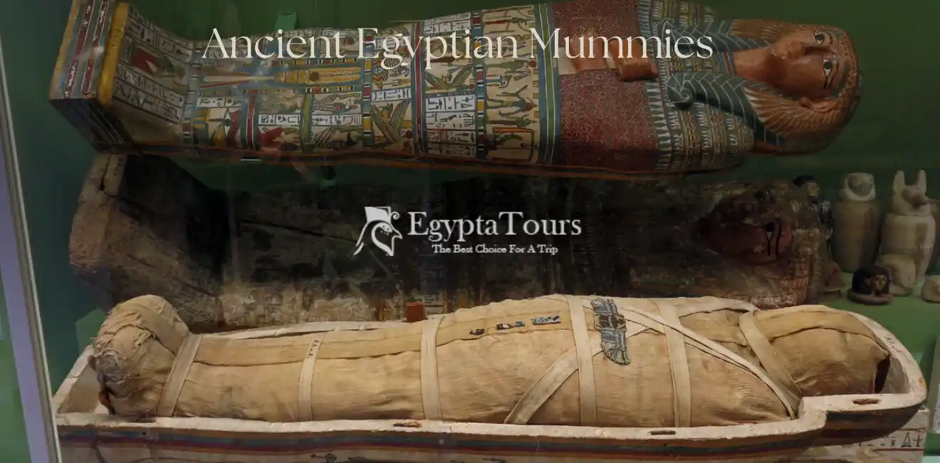 Ancient Egyptian Mummies 2 Important-Facts-About-Ancient-Egyptian-Mummies-EgyptaTours