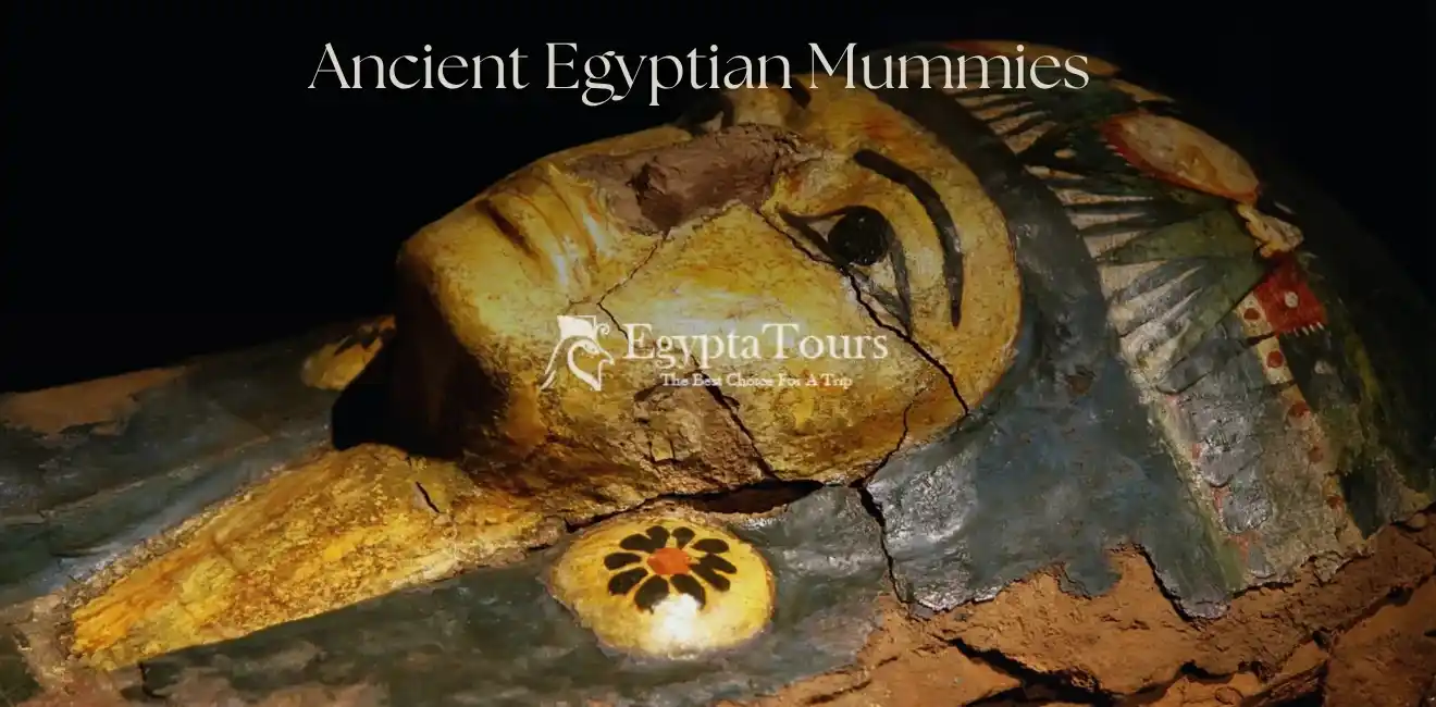 Ancient Egyptian Mummies 4 What-are-the-most-famous-ancient-Egyptian-mummies-EgyptaTours