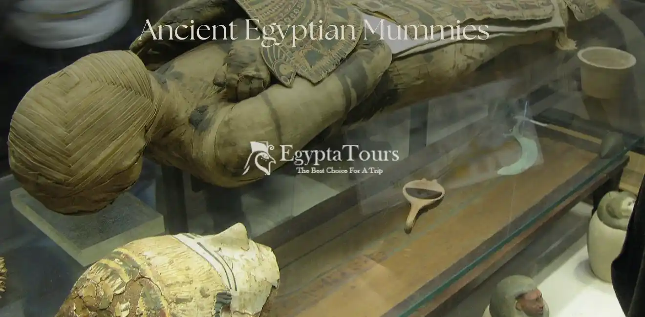 Ancient Egyptian Mummies 3 What-are-the-types-of-mummies-in-Egypt-EgyptaTours