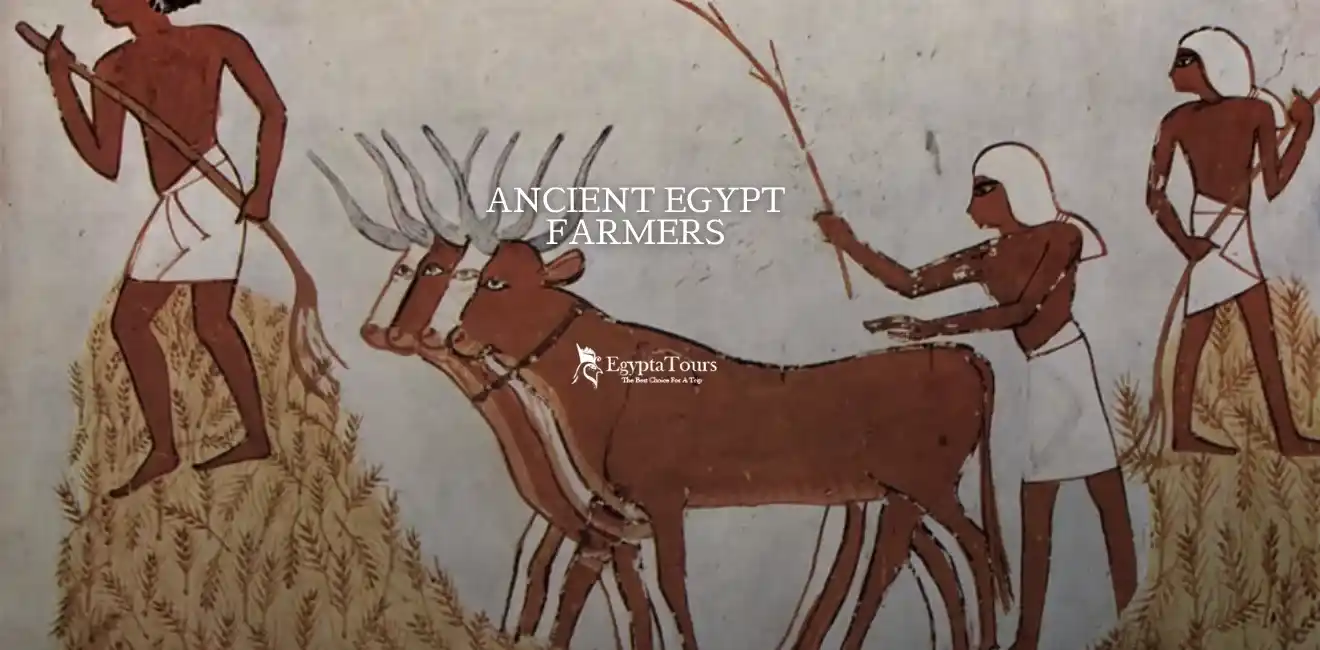 Ancient Egyptian Farmers: How Agriculture Built One of History’s Greatest Civilizations 10 Advanced-Agricultural-Methods-and-Innovations-EgyptaTours