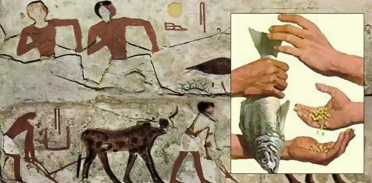 Ancient Egyptian Economy