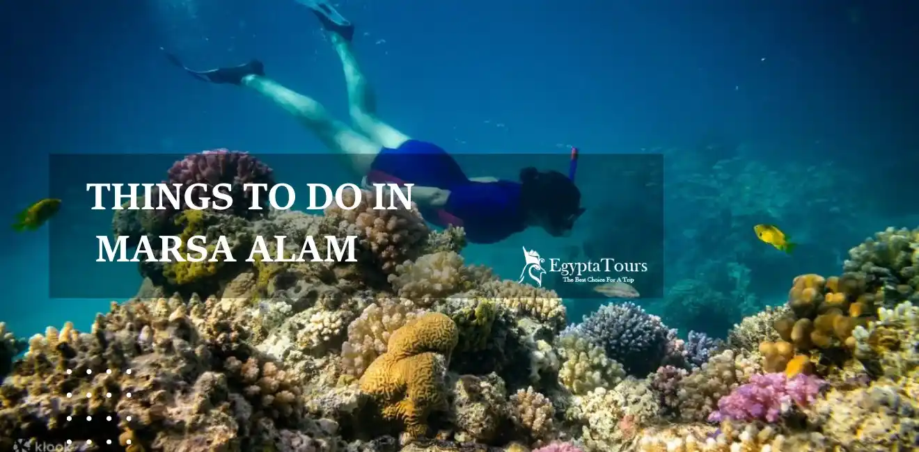 Things to Do in Marsa Alam 2 Diving-One-Of-The-the-best-things-to-do-in-Marsa-Alam-EgyptaTours