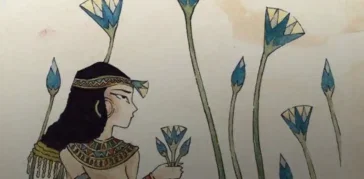 Egypt Lotus Flower