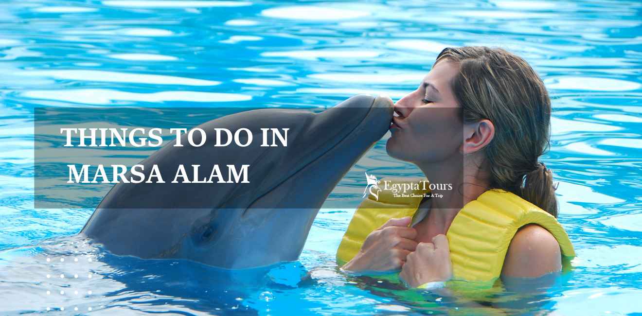 Things to Do in Marsa Alam 3 Swimming-with-dolphins-the-best-things-to-do-in-Marsa-Alam-EgyptaTours