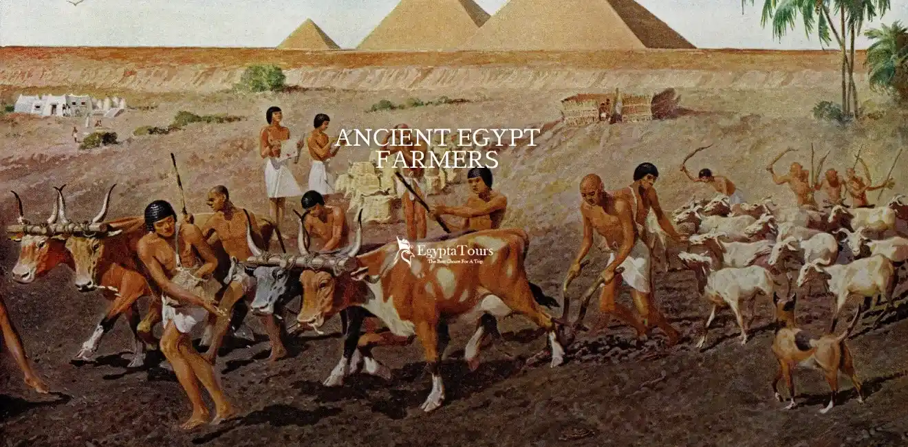 Ancient Egyptian Farmers: How Agriculture Built One of History’s Greatest Civilizations 8 The-Daily-Life-of-the-Farmer-in-Ancient-Egypt-EgyptaTours