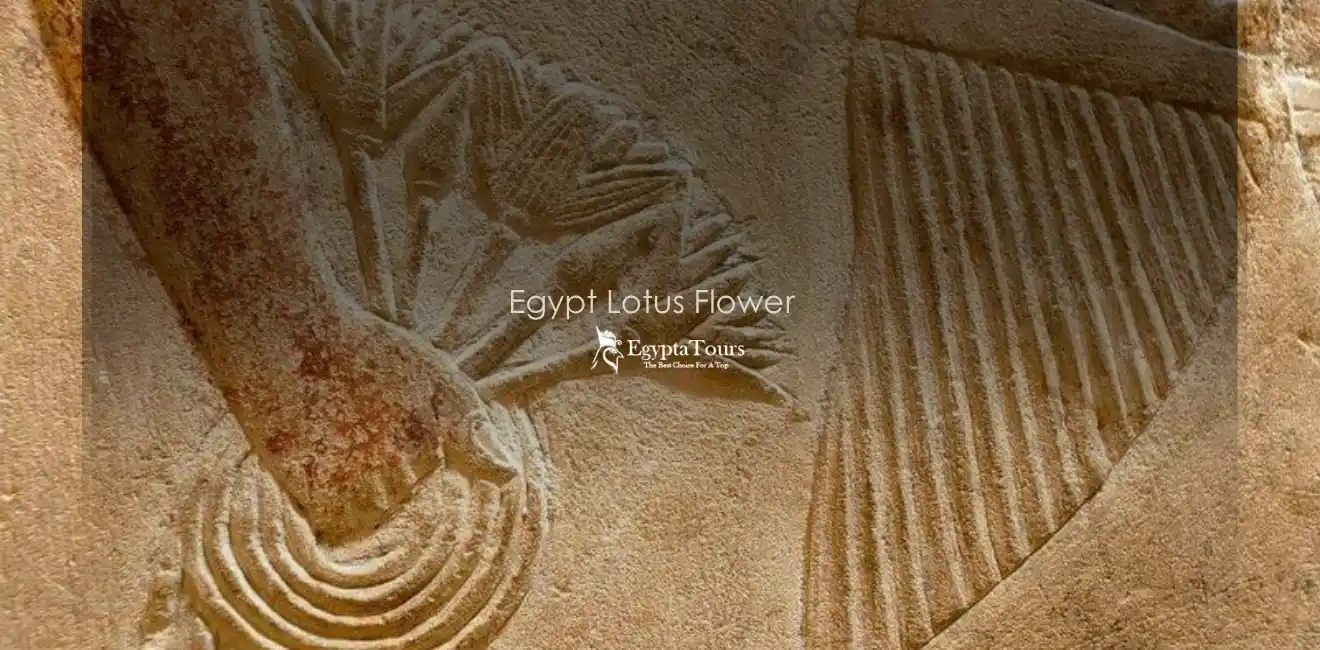 The-Egypt-Lotus-Flower-in-Funerary-and-Temple-Reliefs
