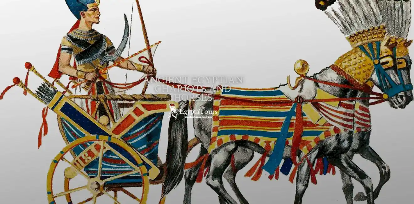 The-First-People-to-Use-Ancient-Chariots-EgyptaTours