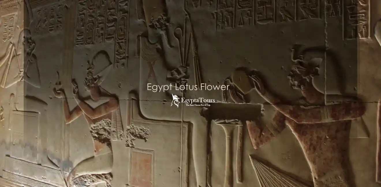 The-Religious-Symbolism-of-the-Lotus-Flower-in-Ancient-Egypt-EgyptaTours