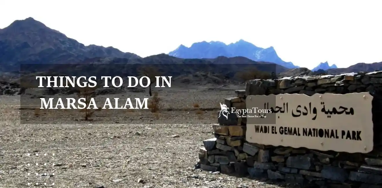 Things to Do in Marsa Alam 4 Visiting-Wadi-El-Gemal-National-Park-one-of-the-best-things-to-do-in-Marsa-Alam-EgyptaTours