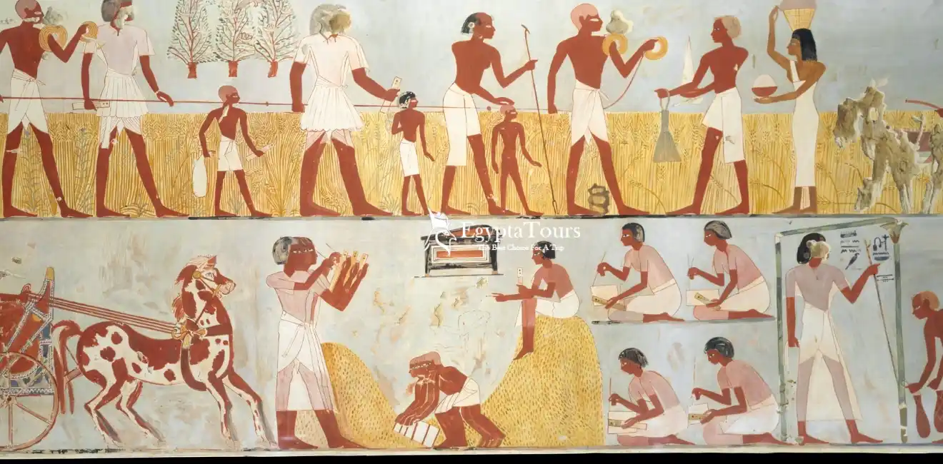 Ancient Egyptian Astronomy 5 Ancient-Egyptian-Astronomy-and-Agriculture-EgyptaTours
