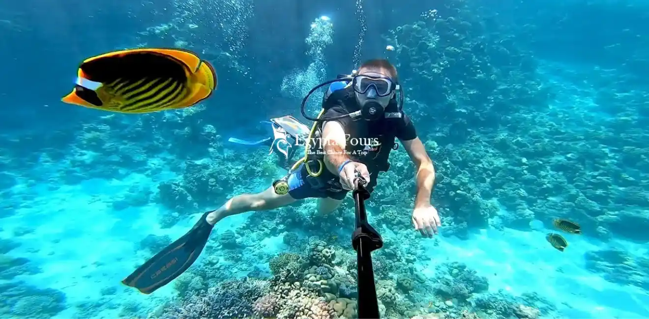 Sinai Peninsula 3 Diving-in-the-Ras-Muhammad-National-Park-EgyptaTours