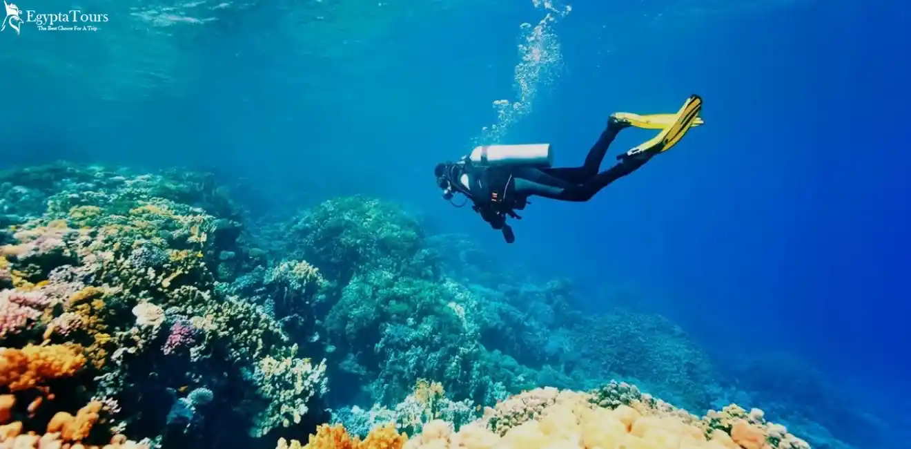 Types-of-Egypt-Sports-EgyptaTours