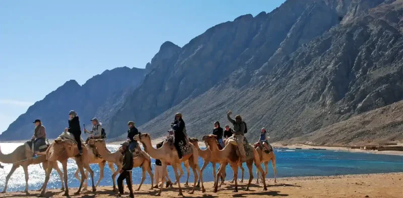 Best Luxury Family Vacation to Egypt 15 Day with Red Sea 2024/2025