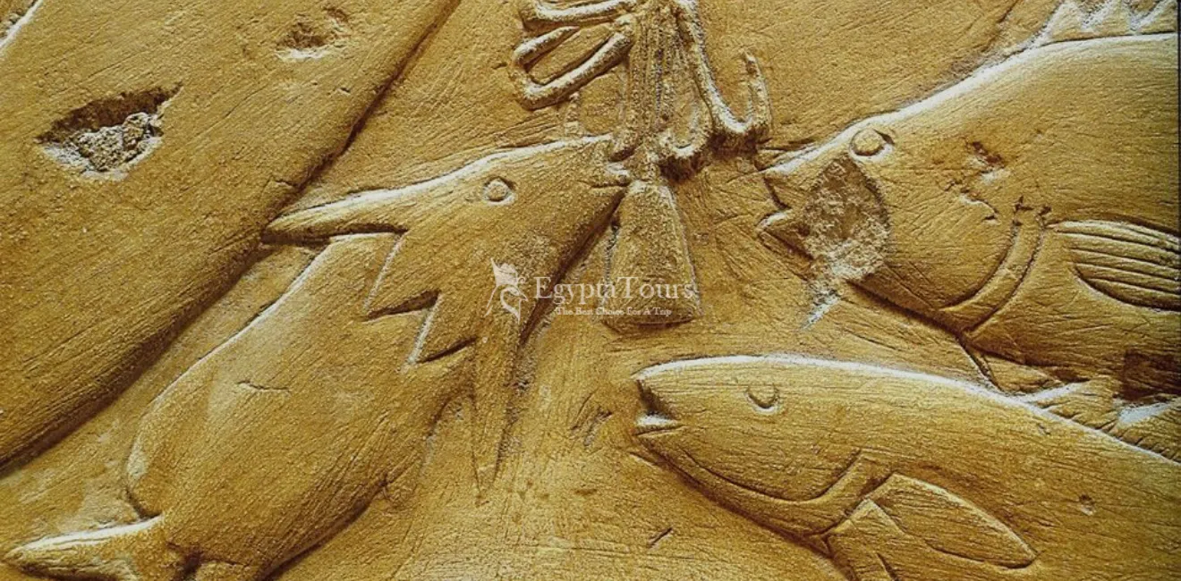 The Nile Valley in Egypt 9 Animals-and-Plants-in-the-Nile-Valley-Environment-EgyptaTours