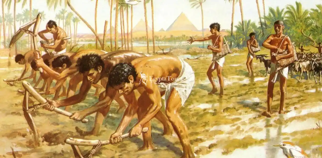 Farmers-and-agriculture-in-Ancient-Egypt-jobs-EgyptaTours