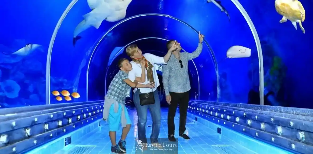 Hurghada Grand Aquarium 4 Hurghada-Grand-Aquarium-Ticket-Prices-and-Opening-Hours-EgyptaTours