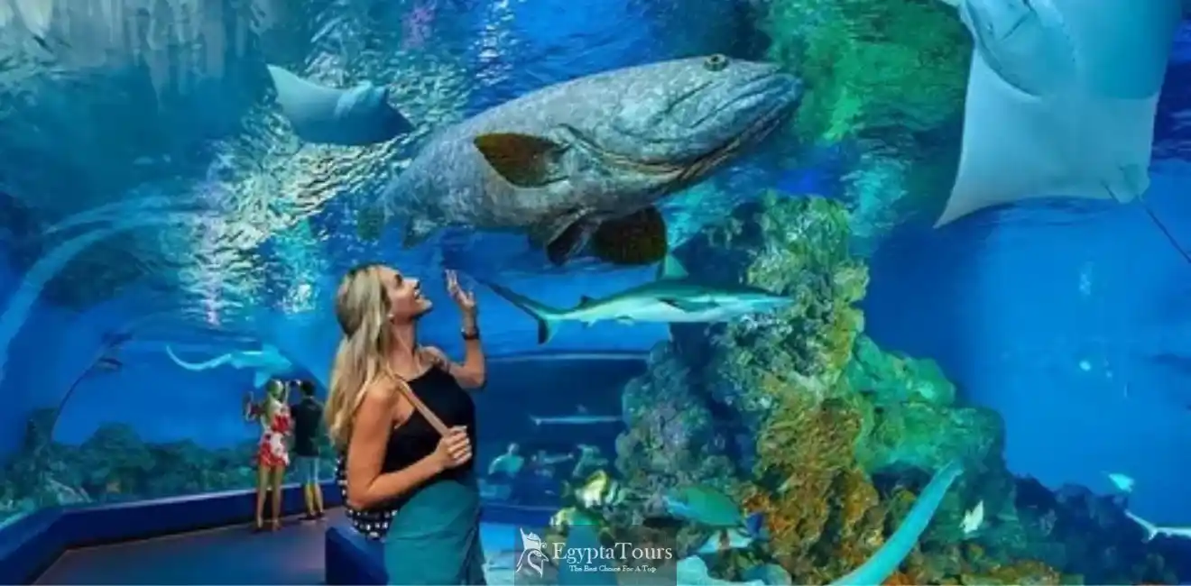 Hurghada Grand Aquarium 3 The-Main-Marine-Life-Exhibition-in-Hurghada-Grand-Aquarium-EgyptaTours