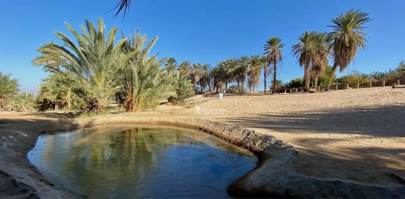 Moses Springs Egypt 3 Tourist-Life-In-The-Moses-Springs-Area