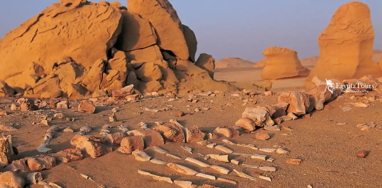 The Natural Places of Egypt 3 The-Natural-Places-of-Egypt-Wadi-El-Hitan-Protectorate