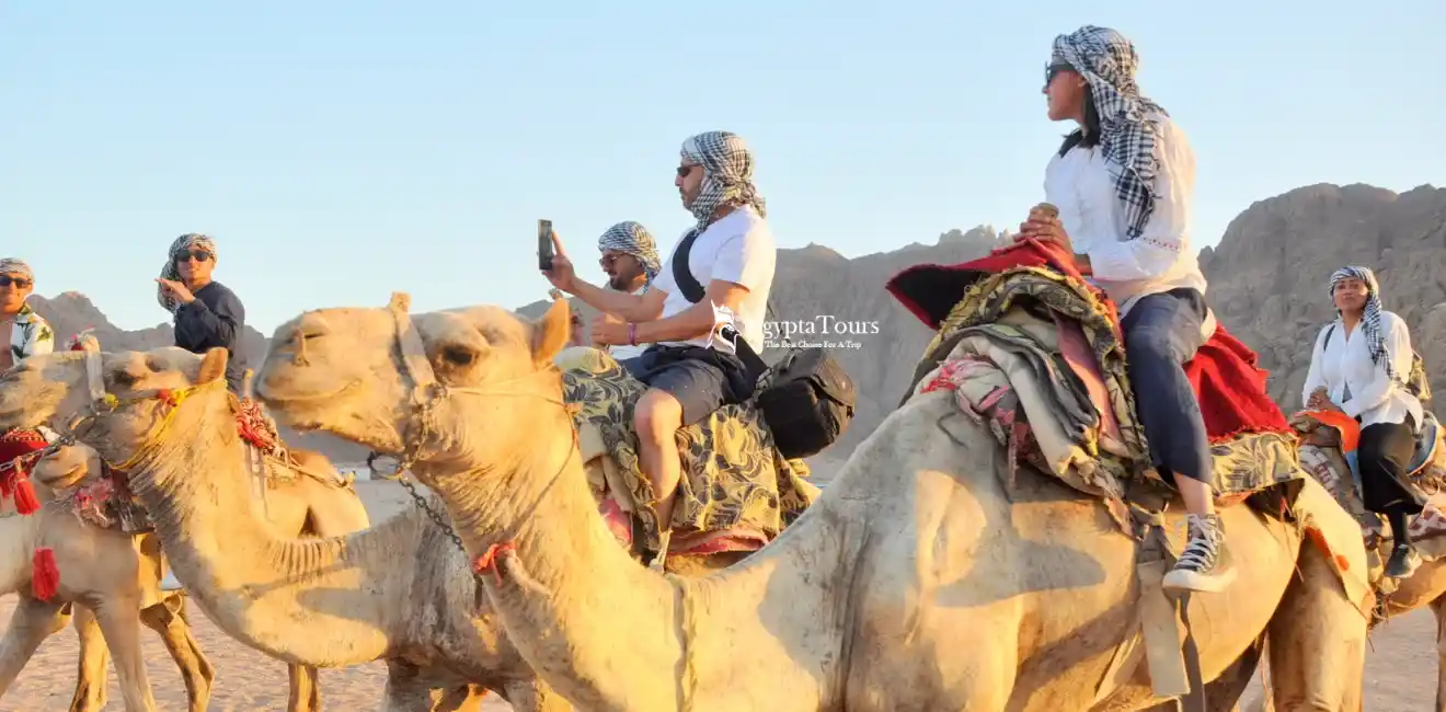 Things To Do From Safaga Port 3 Camel-Ride-Desert-Things-To-Do-From-Safaga-Port-EgyptaTours