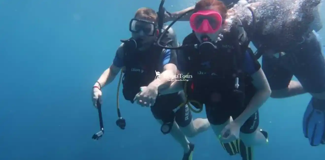 Things to Do in Port Ghalib 3 Experience -unforgettable -snorkeling- trips- in -Port -Ghalib