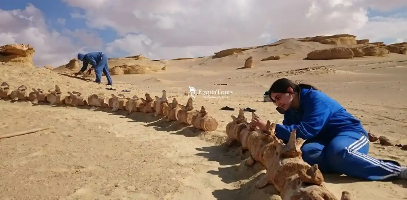 Family-Activities-In-Egypt-For-Kids-Wadi-El-Hitan-Whale-Fossils