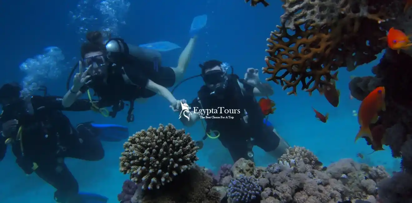 Best Places For Water Sports in Egypt 6 Hurghada -Scuba -Diving -Adventures